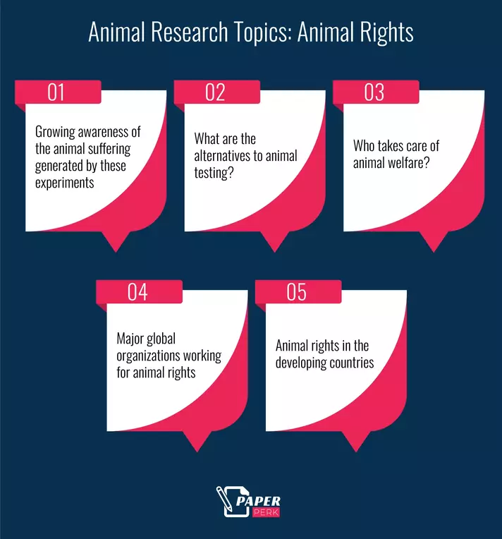 Animal Research Topics: Animal Rights