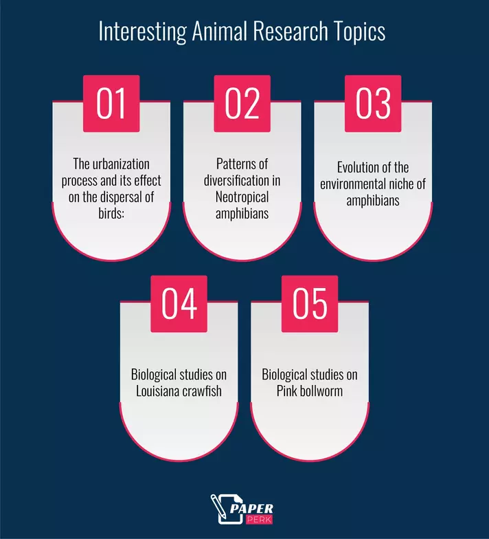 Interesting Animal Research Topics